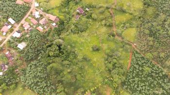 Finca para Agricultura en venta en San Antonio De Rivas, Pérez Zeledón, San José, Costa Rica — foto 7