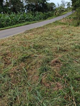 Terreno General en venta en Canalete, Upala, Alajuela, Costa Rica — foto 2