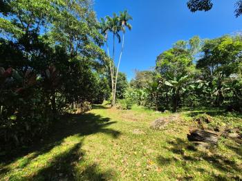 Agricultural Land for sale in Quizarra, Pérez Zeledón, San José, Costa Rica — photo 2