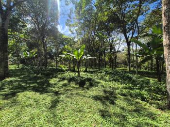 Agricultural Land for sale in Quizarra, Pérez Zeledón, San José, Costa Rica — photo 3
