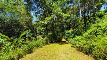 Mixed Use Land for sale in San Pedro, Pérez Zeledón, San José, Costa Rica — photo 4