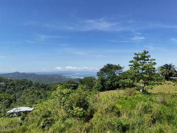 Terreno Para Vivienda en venta en Ojochal, Osa, Puntarenas, Costa Rica — foto 3