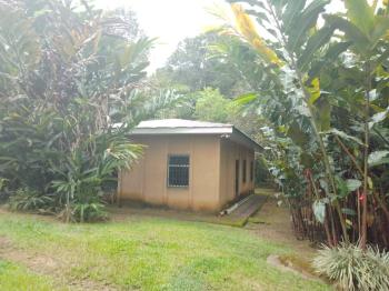 Terreno Para Vivienda en venta en Tinamaste, Pérez Zeledón, San José, Costa Rica — foto 2