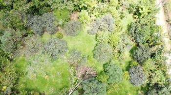 Terreno Para Vivienda en venta en Tinamaste, Pérez Zeledón, San José, Costa Rica — foto 7