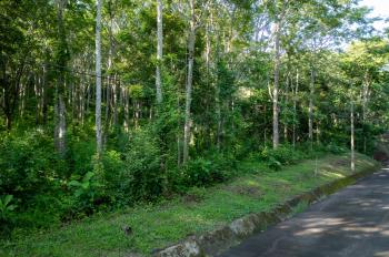 Terreno Para Vivienda en venta en Zona Franca La Ceiba, Orotina, Alajuela, Costa Rica — foto 49