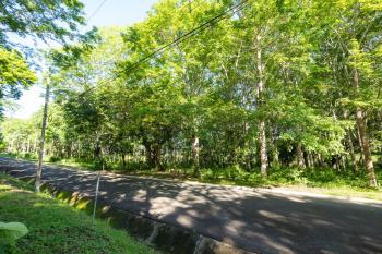 Terreno Para Vivienda en venta en Zona Franca La Ceiba, Orotina, Alajuela, Costa Rica — foto 59