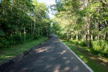 Terreno Para Vivienda en venta en Zona Franca La Ceiba, Orotina, Alajuela, Costa Rica — foto 67