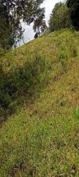 Fincas Uso Mixto en venta en Quebrada Honda, Pérez Zeledón, San José, Costa Rica — foto 4