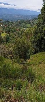 Mixed Farm in Quebrada Honda de Pérez Zeledón