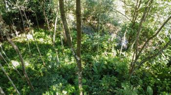 Residential Lot for sale in Santa Ana, Pérez Zeledón, San José, Costa Rica — photo 2