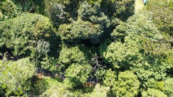 Residential Lot for sale in Santa Ana, Pérez Zeledón, San José, Costa Rica — photo 3