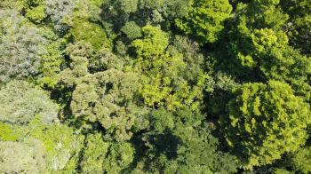 Residential Lot for sale in Santa Ana, Pérez Zeledón, San José, Costa Rica — photo 4