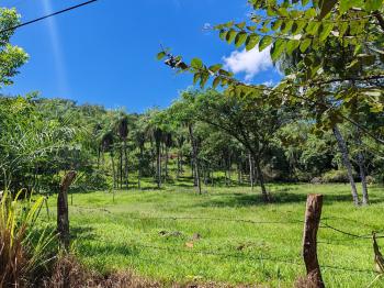 Vendo Hermosa Finca en Fernandez de Guacimal, Puntarenas