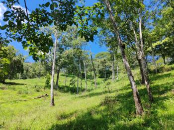 Fincas Uso Mixto en venta en Guacimal, Puntarenas, Costa Rica — foto 3