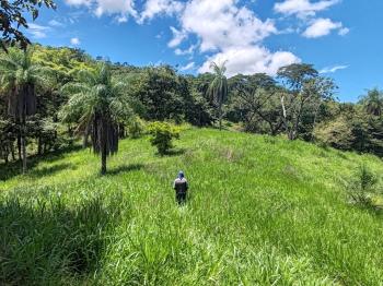 Fincas Uso Mixto en venta en Guacimal, Puntarenas, Costa Rica — foto 4