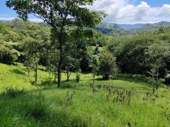 Fincas Uso Mixto en venta en Guacimal, Puntarenas, Costa Rica — foto 5