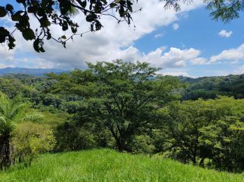 Fincas Uso Mixto en venta en Guacimal, Puntarenas, Costa Rica — foto 6