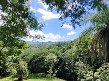 Fincas Uso Mixto en venta en Guacimal, Puntarenas, Costa Rica — foto 7