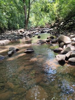 Vendo Hermosa Finca en Fernandez de Guacimal, Puntarenas