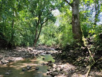 Fincas Uso Mixto en venta en Guacimal, Puntarenas, Costa Rica — foto 2