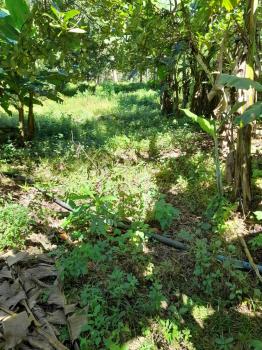 Fincas Uso Mixto en venta en Guacimal, Puntarenas, Costa Rica — foto 3