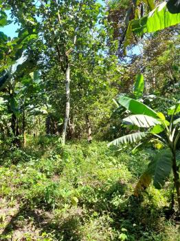 Fincas Uso Mixto en venta en Guacimal, Puntarenas, Costa Rica — foto 4
