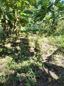 Fincas Uso Mixto en venta en Guacimal, Puntarenas, Costa Rica — foto 5
