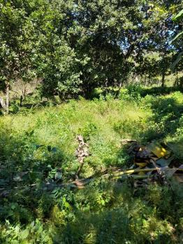 Fincas Uso Mixto en venta en Guacimal, Puntarenas, Costa Rica — foto 6