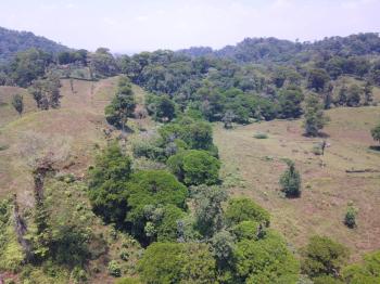 Terreno para Desarrollo en venta en Guapiles, Pococí, Limón, Costa Rica — foto 2