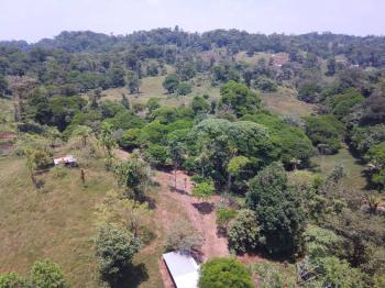 Terreno para Desarrollo en venta en Guapiles, Pococí, Limón, Costa Rica — foto 3