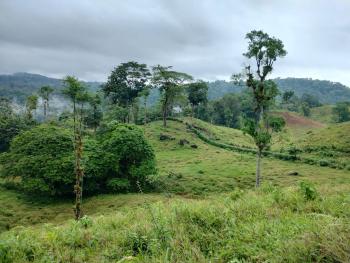Terreno para Desarrollo en venta en Guapiles, Pococí, Limón, Costa Rica — foto 5