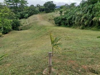 Residential Lot for sale in Esquipulas, Palmares, Alajuela, Costa Rica — photo 4