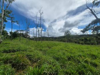 Agricultural Land for sale in Miraflores, Pérez Zeledón, San José, Costa Rica — photo 2