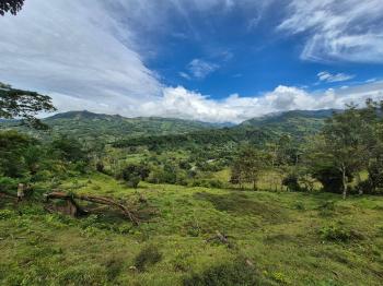Agricultural Land for sale in Miraflores, Pérez Zeledón, San José, Costa Rica — photo 4