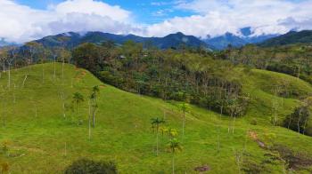 Agricultural Land for sale in Miraflores, Pérez Zeledón, San José, Costa Rica — photo 6
