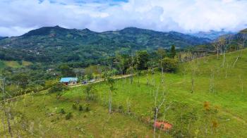 Agricultural Land for sale in Miraflores, Pérez Zeledón, San José, Costa Rica — photo 7