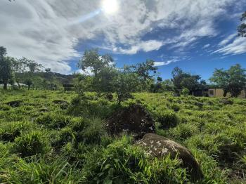 Finca para Agricultura en venta en Miraflores, Pérez Zeledón, San José, Costa Rica — foto 3