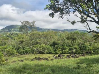 Finca para Agricultura en venta en Miraflores, Pérez Zeledón, San José, Costa Rica — foto 4