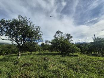 Finca para Agricultura en venta en Miraflores, Pérez Zeledón, San José, Costa Rica — foto 6