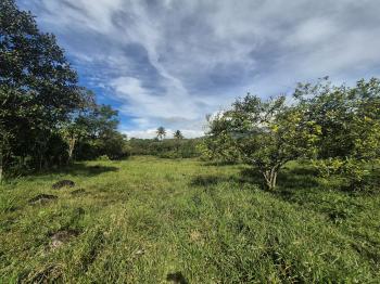 Finca para Agricultura en venta en Miraflores, Pérez Zeledón, San José, Costa Rica — foto 7