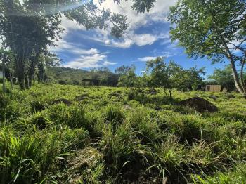 Terreno Para Vivienda en venta en Miraflores, Pérez Zeledón, San José, Costa Rica — foto 4