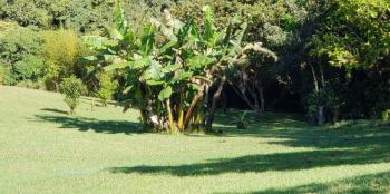 Fincas Uso Mixto en venta en San Jerónimo, Moravia, San José, Costa Rica — foto 6