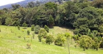 Fincas Uso Mixto en venta en San Jerónimo, Moravia, San José, Costa Rica — foto 7