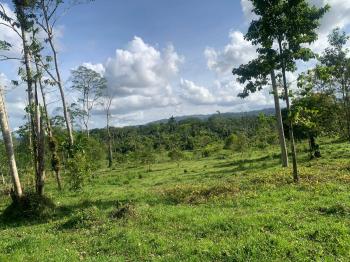 Fincas Uso Mixto en venta en Cultivez De Siquirres, Siquirres, Limón, Costa Rica — foto 4