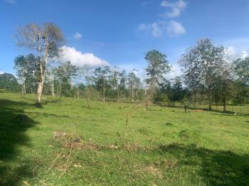 Fincas Uso Mixto en venta en Cultivez De Siquirres, Siquirres, Limón, Costa Rica — foto 5