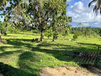 Fincas Uso Mixto en venta en Cultivez De Siquirres, Siquirres, Limón, Costa Rica — foto 6