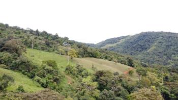 Más de 19 Acres Junto a la Aldea Ecológica Serenity Gardens