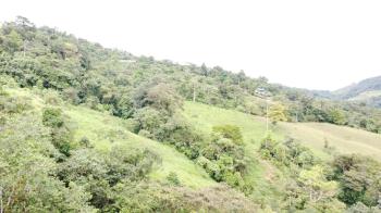 Finca para Agricultura en venta en Serenity Gardens, Pérez Zeledón, San José, Costa Rica — foto 2