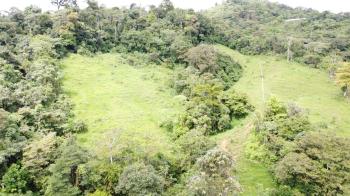 Finca para Agricultura en venta en Serenity Gardens, Pérez Zeledón, San José, Costa Rica — foto 3