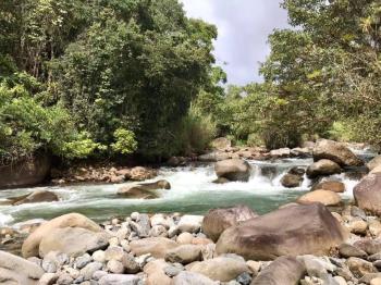 2,7 Hectáreas de Pasto Con Río Prístino